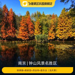 [钟山风景名胜区-明孝陵+美龄宫+灵谷寺+音乐台（当天票）]