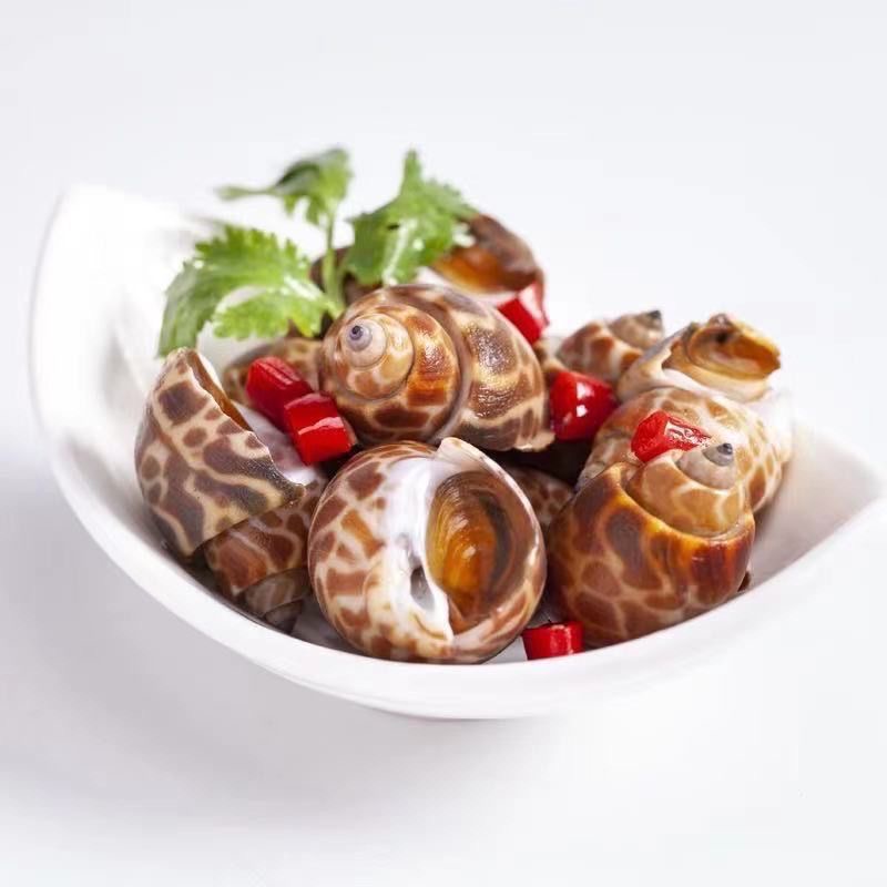 Frozen snails, fresh snails, fresh seafood, aquatic products, fresh frozen snails, shellfish, juice, small seafood wholesale