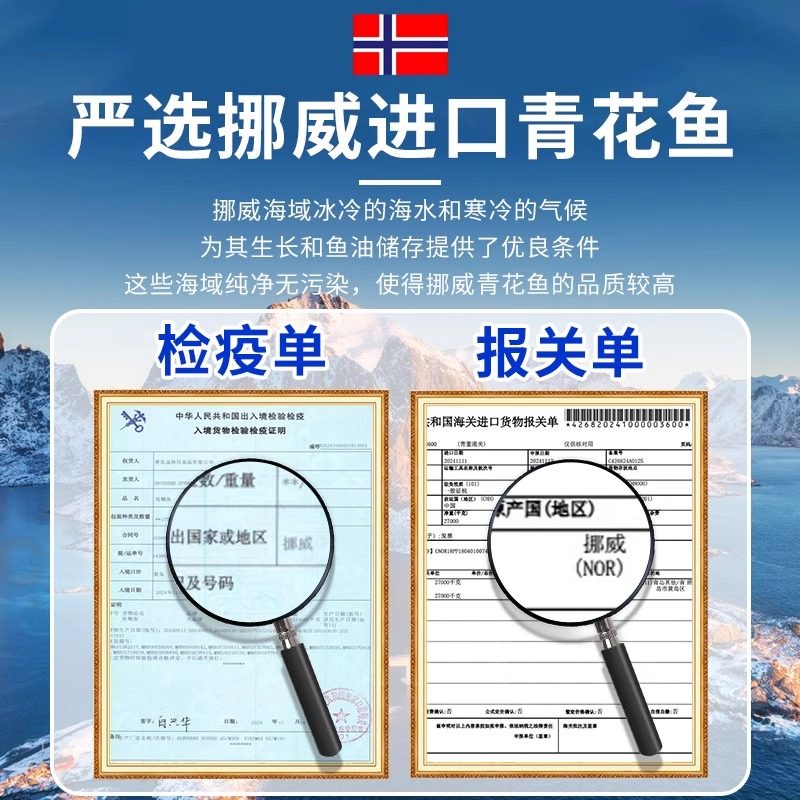 青花鱼挪威进口鲭鱼青花鱼片半成品整条盐渍新鲜烤青占鱼商用冷冻,淘宝优惠券,粉丝福利购,淘宝优惠卷