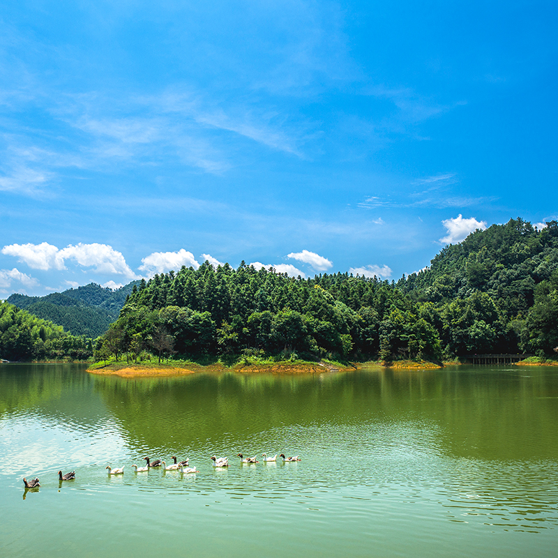 [千岛湖龙川湾-门票+园内景交车+千岛湖寻找狮城体验游 ]龙川湾千岛湖寻找狮城体验游 - 图2