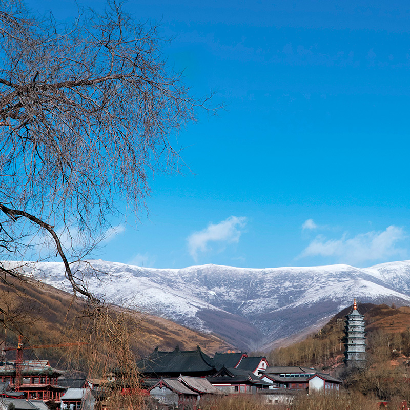 [五台山风景区-大门票]山西五台山景区门票 电子票