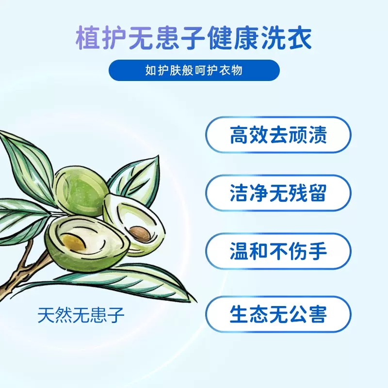 芭菲无患子植护洗衣液650g内衣专用柔顺抑菌家用 - 图1