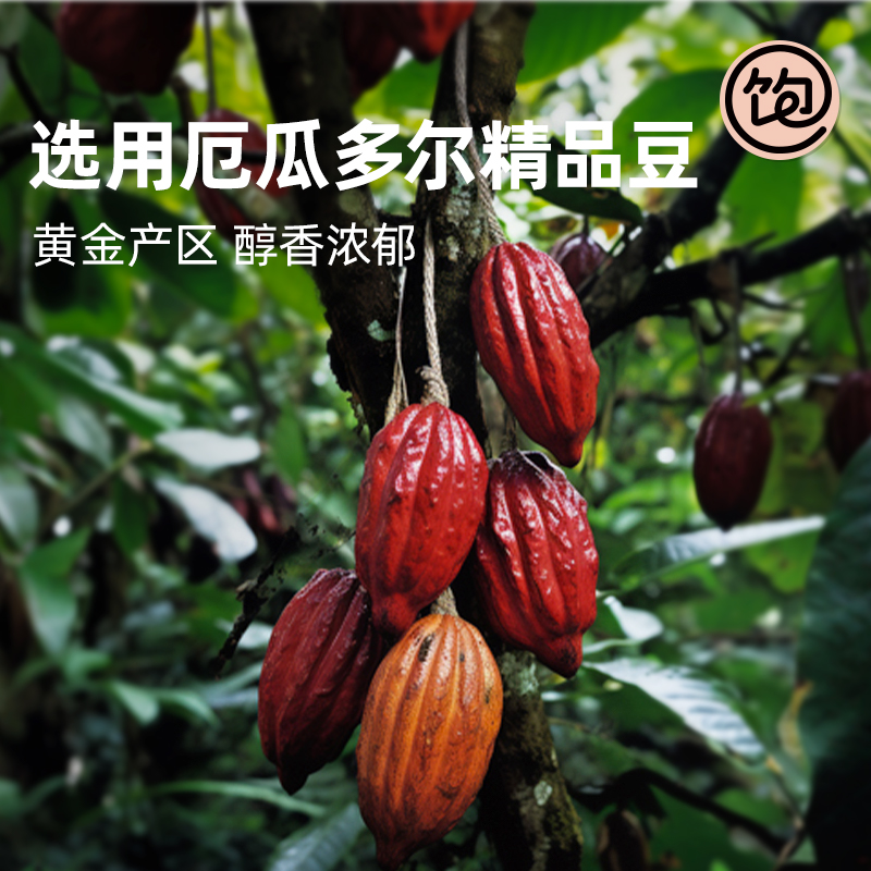 【超模同款】王饱饱生可可粉150g*2盒+231g奇亚籽麦片饱腹代餐