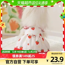 Pet Pooch Strawberry Full Print Collar Dress Better Than Bear Teddy Small Puppies Clothes Spring Summer Thin Dress