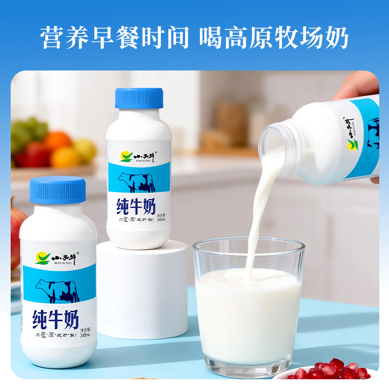 小西牛纯牛奶全脂学生儿童营养早餐牛奶整箱243ml*12瓶