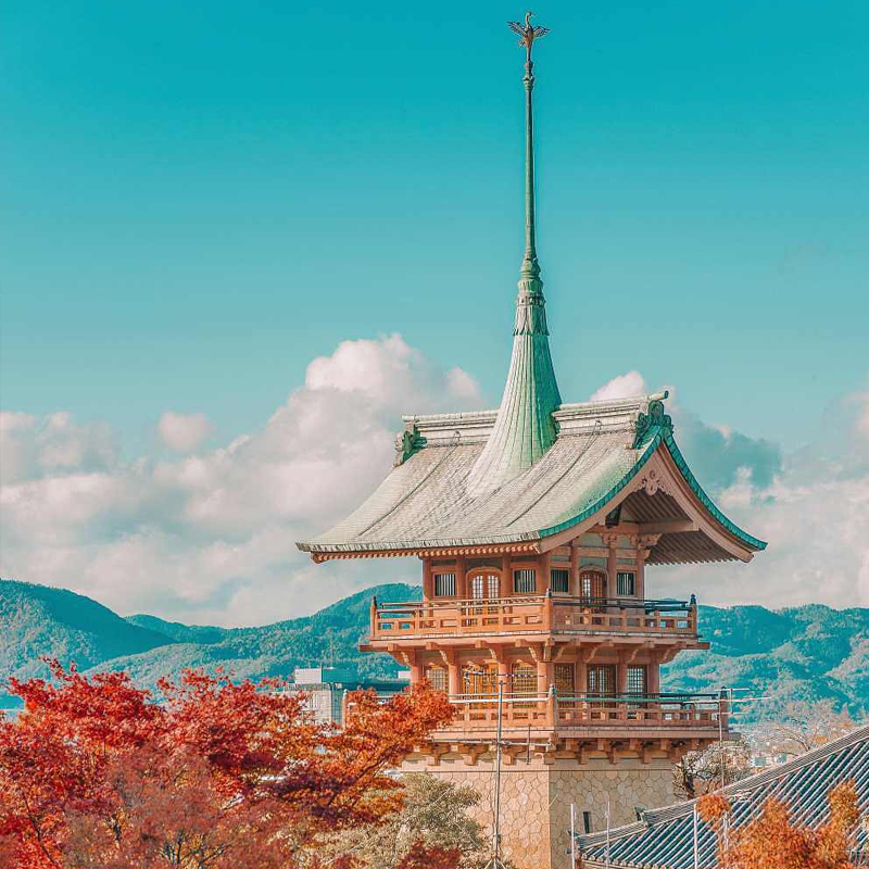 日本·单次旅游签证·上海送签·拒签全退-材料极简-加急简化-电子签个人旅游-高出签-领馆指定社-免机酒 - 图3