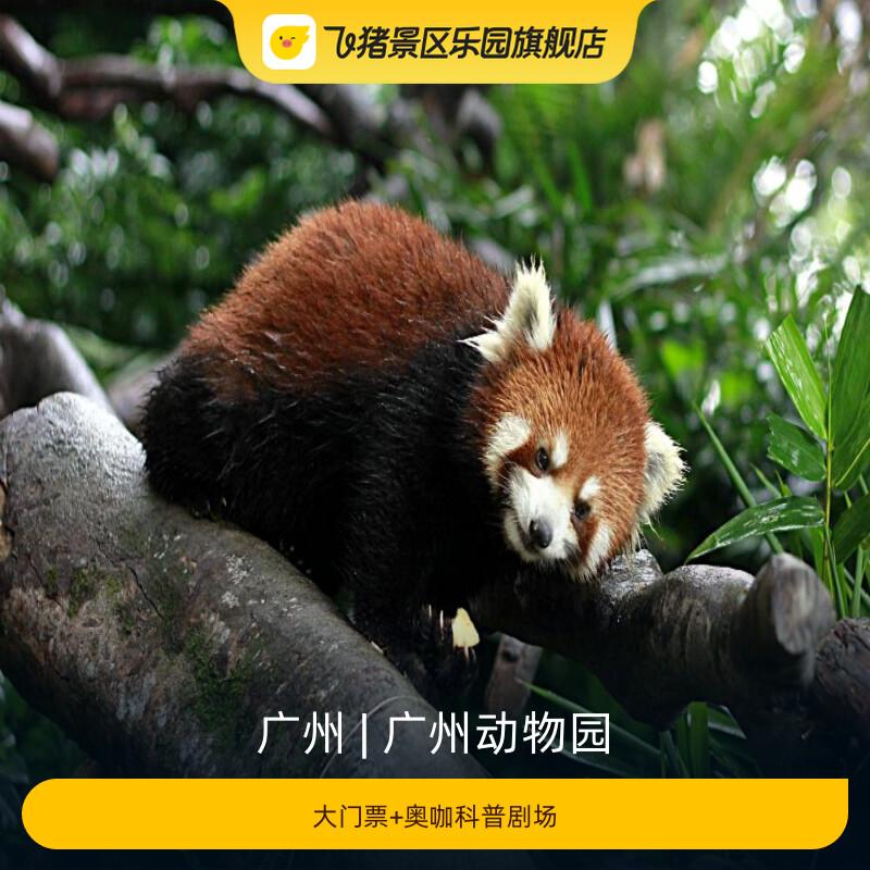 广州动物园大门票