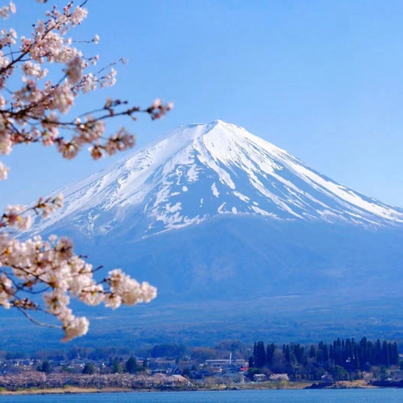 【漫游超人5G】日本随身WiFi租赁无限流量出国旅游移动无线上网蛋
