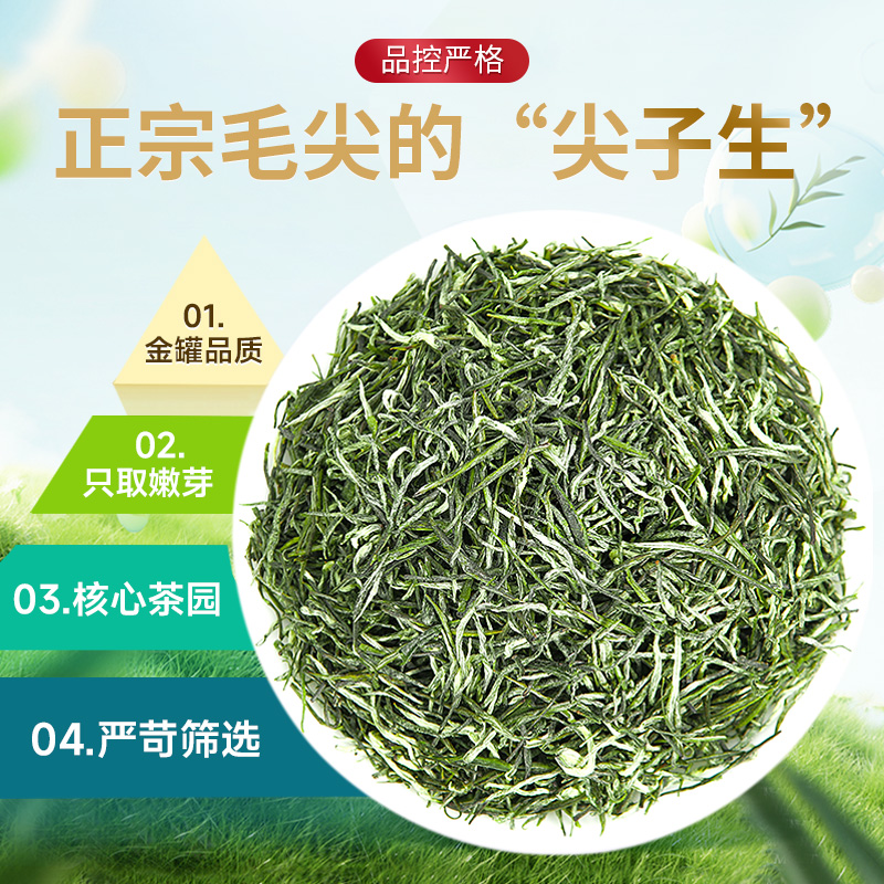 2024年新茶乐品乐茶毛尖绿茶叶明前特级正宗浓香茶一芽一叶250g-图1