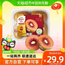 Jiapu Gem Red Chio Exotic Fruits 5 Grain 300g