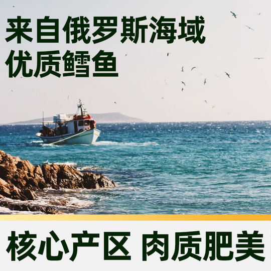 【臻选】烤鳕鱼片40g休闲小零食高蛋白低脂即食海味