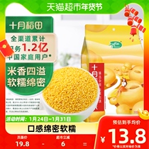 October rice paddies yellow millet 1kg millet 5 cereals coarse grain black rice rice porridge