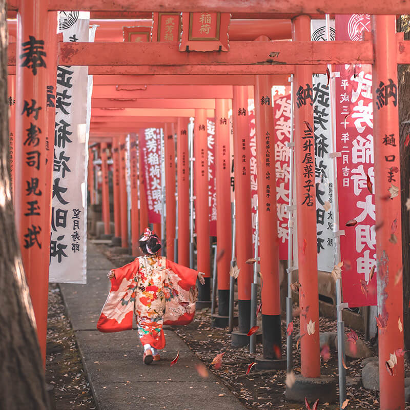 日本·单次旅游签证·广州送签·【简化无套路拒签退】高出签优质服务加急电子签个人旅行【风华国旅大品牌】 - 图0