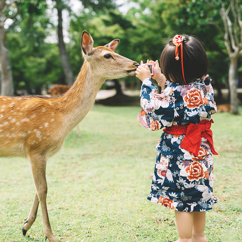 日本·三年多次旅游签证·北京送签·日本签证北京简化三年多次旅游签冲绳签证-图0