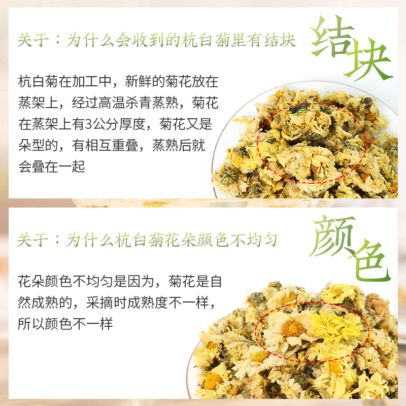 西湖牌新花花草茶杭白菊干花菊花茶70g罐装茶包大份量 - 图3