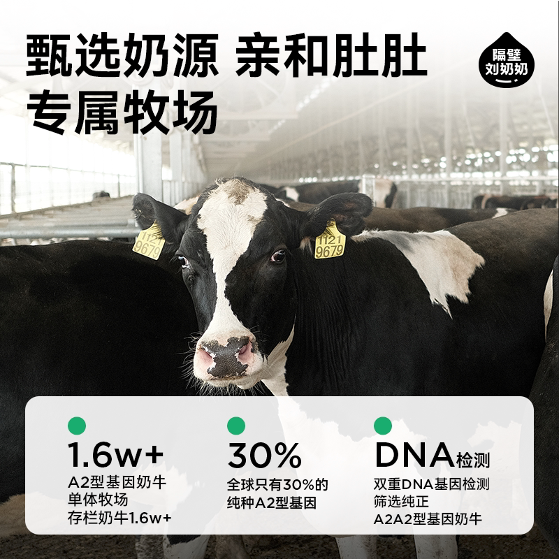 隔壁刘奶奶A2β-酪蛋白125ml*9盒装