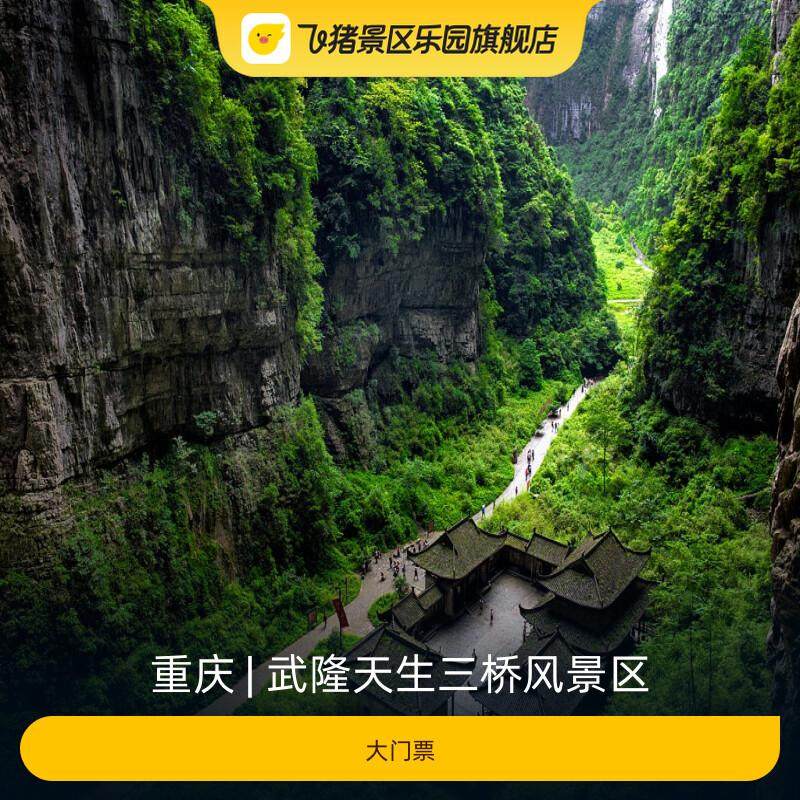 [武隆天生三桥风景区-大门票] - 实物图