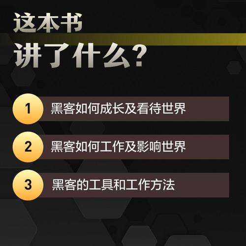 黑客与画家(10万册纪念版) 硅谷创业之父Paul Graham文集 互联网 - 图1