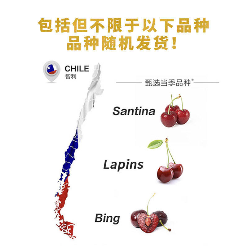 【臻选现货】智利进口车厘子原箱整箱当季新鲜水果【下拉领优惠】