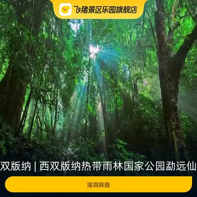 [西双版纳热带雨林国家公园勐远仙境-溶洞探险]