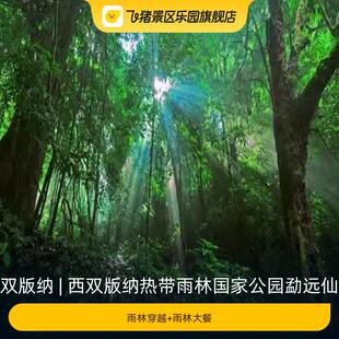 [西双版纳热带雨林国家公园勐远仙境-雨林穿越+雨林大餐]