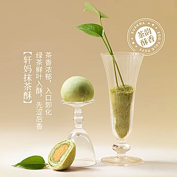 轩妈蛋黄酥纷享装4种口味礼盒送礼440g[5元优惠券]-寻折猪