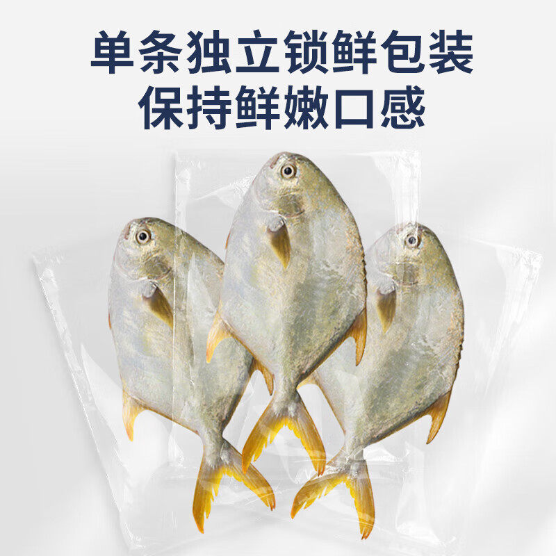 环球水产金鲳鱼700g 2条海鲜水产新鲜冷冻健康轻食