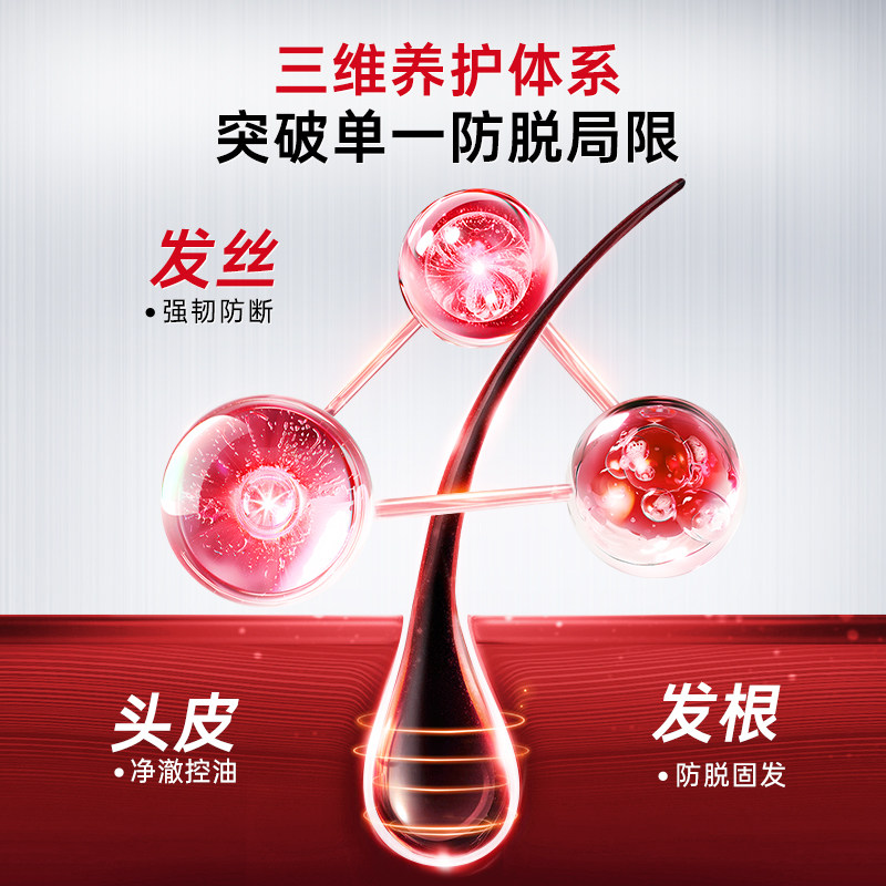 CABELO卡蓓诺防脱洗发水固发育发防掉发蓬松控油去屑止痒