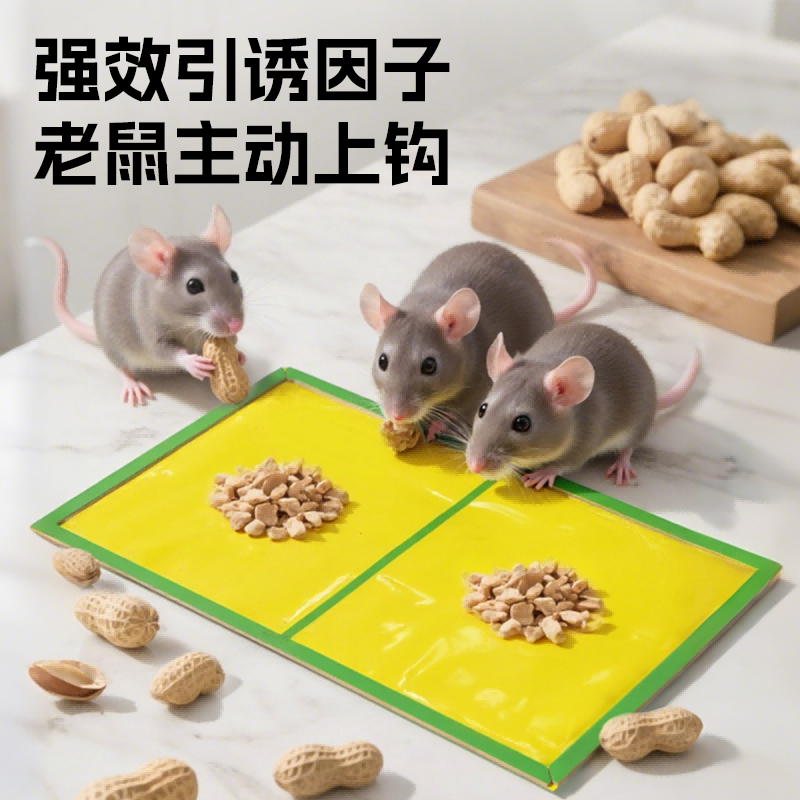 图 2