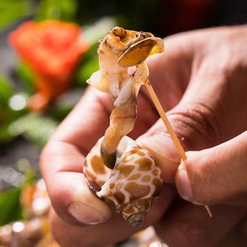 Frozen snails, fresh snails, fresh seafood, aquatic products, fresh frozen snails, shellfish, juice, small seafood wholesale