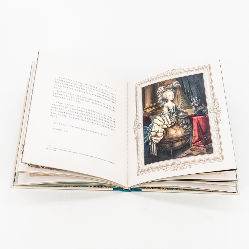 正版读库书系王后的秘密日记玛丽安托瓦内特以断头台上的王后为主角的成人绘本
