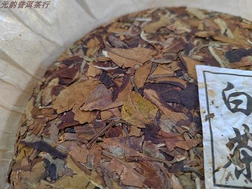 云南古树白茶2018年陈品 昆明干仓储存 357克 饼茶 老白茶 - 图1