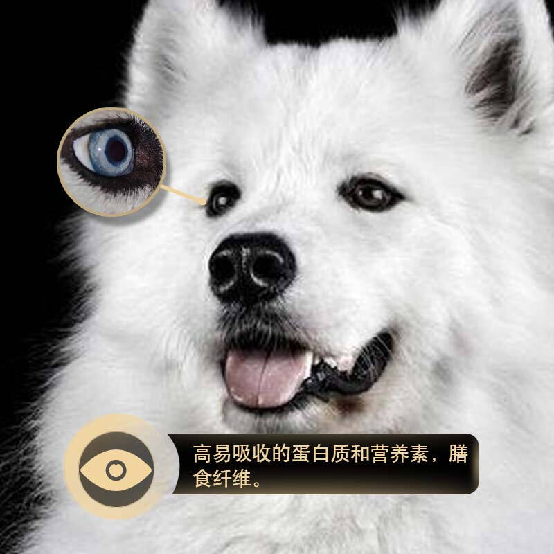 朗亲 狗粮10kg金毛萨摩耶哈士奇40拉布拉多泰迪德边牧成犬幼犬优惠券