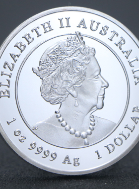 2025蛇年金银币 镀金镀银澳大利亚灵蛇纳福招财收藏摆件纪念章