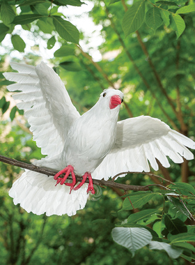 【精品仿真鸽子】摆件白鸽婚庆道具和平鸽模型真羽毛可悬挂仿真鸟