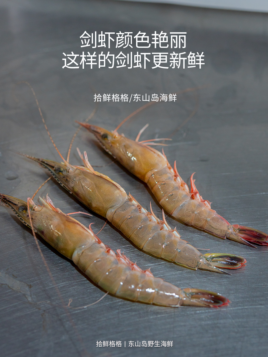 剑虾约20只 220g东山岛海鲜青壳滑皮虾硬壳海虾呛虾鲜活速冻-图3