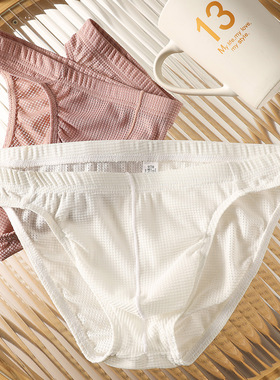 Breathable Mesh See-through Men's Briefs