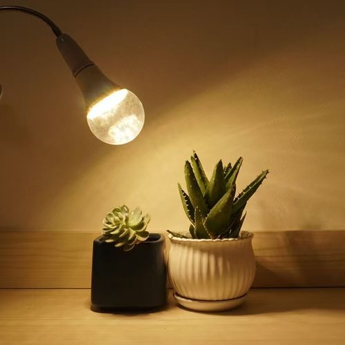 蔬菜多肉火龙果百香果菊花大棚增产催熟用仿太阳光led植物补光灯 - 图1