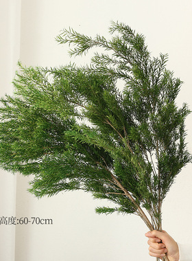ins风千层金干花花束装饰摆件