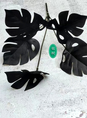 暗黑仿真龟背叶排草树枝雨林盆栽热带道具干塑料绢假植物黑色假草