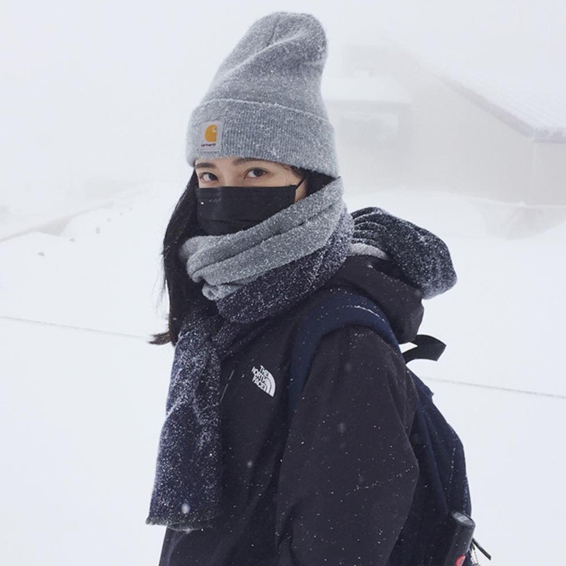 现货Carhartt A18 Beanie Hat卡哈特经典潮牌毛线针织冷帽子情侣
