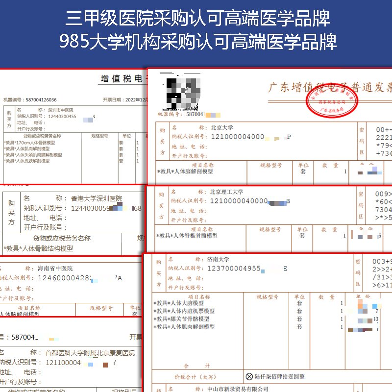 全身人体骨骼模型医用高端医学教学活动拆卸结构骨架解剖可肌肉点-图0