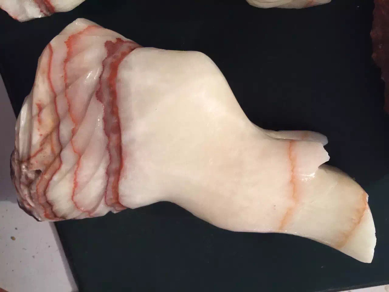 奇石收藏天然猪肉石原石猪腿肉石摆件17cm - 图0