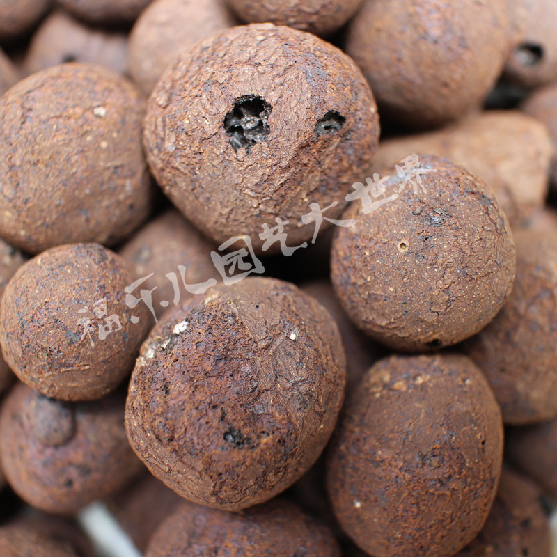 中号散装陶粒-植物花卉栽培基质无土栽培基质介质水培植物基质,淘宝优惠券,粉丝福利购,淘宝优惠卷