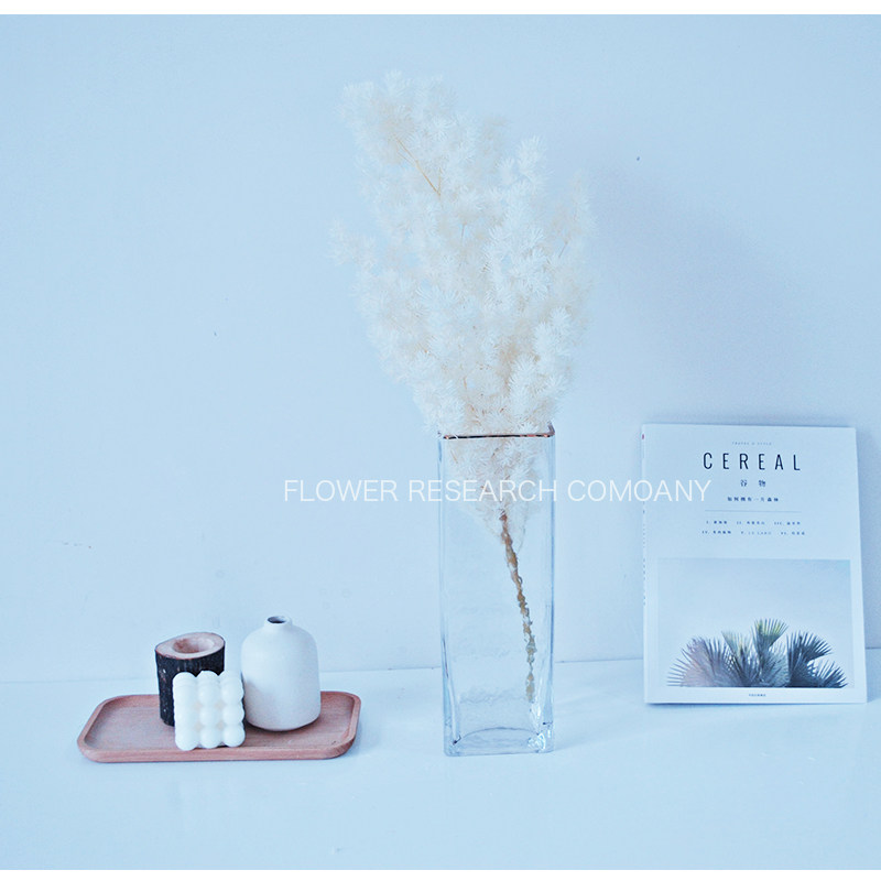 蓬莱松永生花白色diy礼盒玻璃罩材料手工制作挂件车挂干花配花 莳花志 淘优券