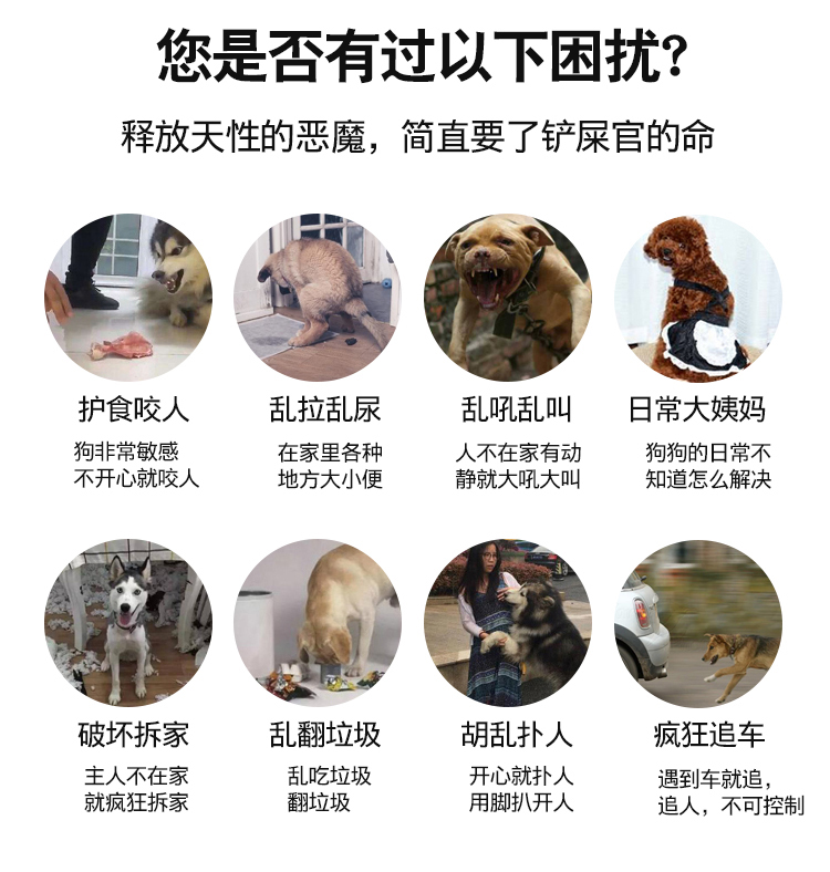 训狗教程视频驯犬神器拉布拉多金毛泰迪柯基宠物狗训练新手零基础 - 图0