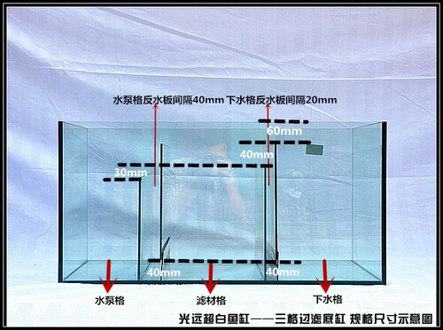 光远 鱼缸底滤 底缸过滤 底滤缸 底滤槽 过滤缸 尺寸定制 三格T字 - 图3