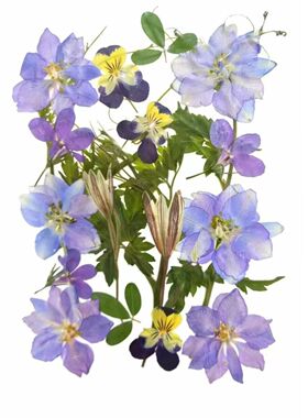 春日来信DIY干花滴胶材料包