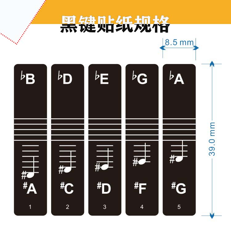 适用于雅马哈YAMAHA电钢琴88键重锤电子琴键盘贴纸通用彩色简谱61