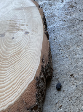 椭圆木片di木头画手绘斜切木桩